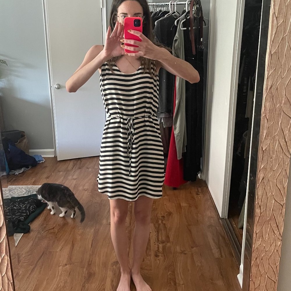 Navy/White Striped Swing Dress
